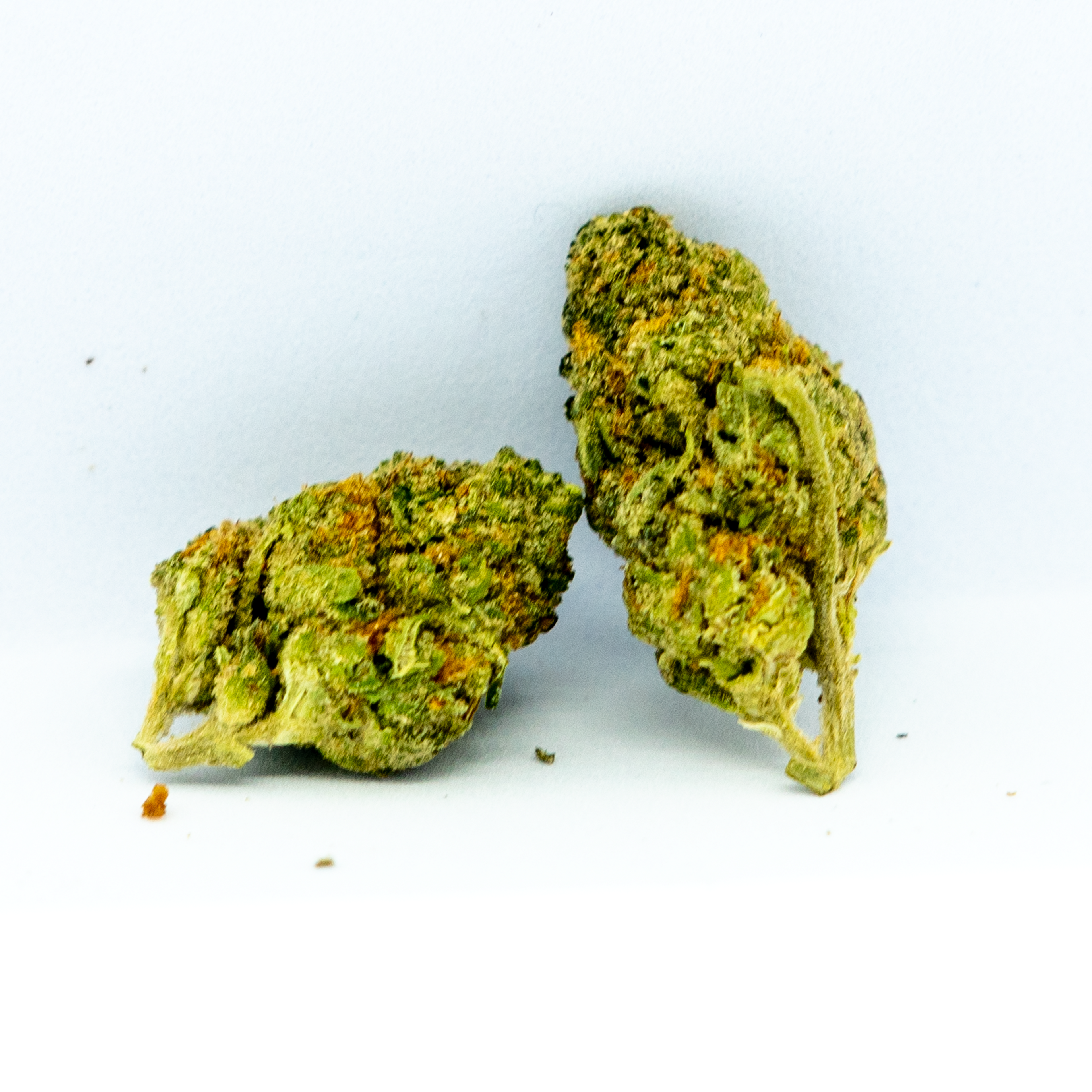 Bud Flowers