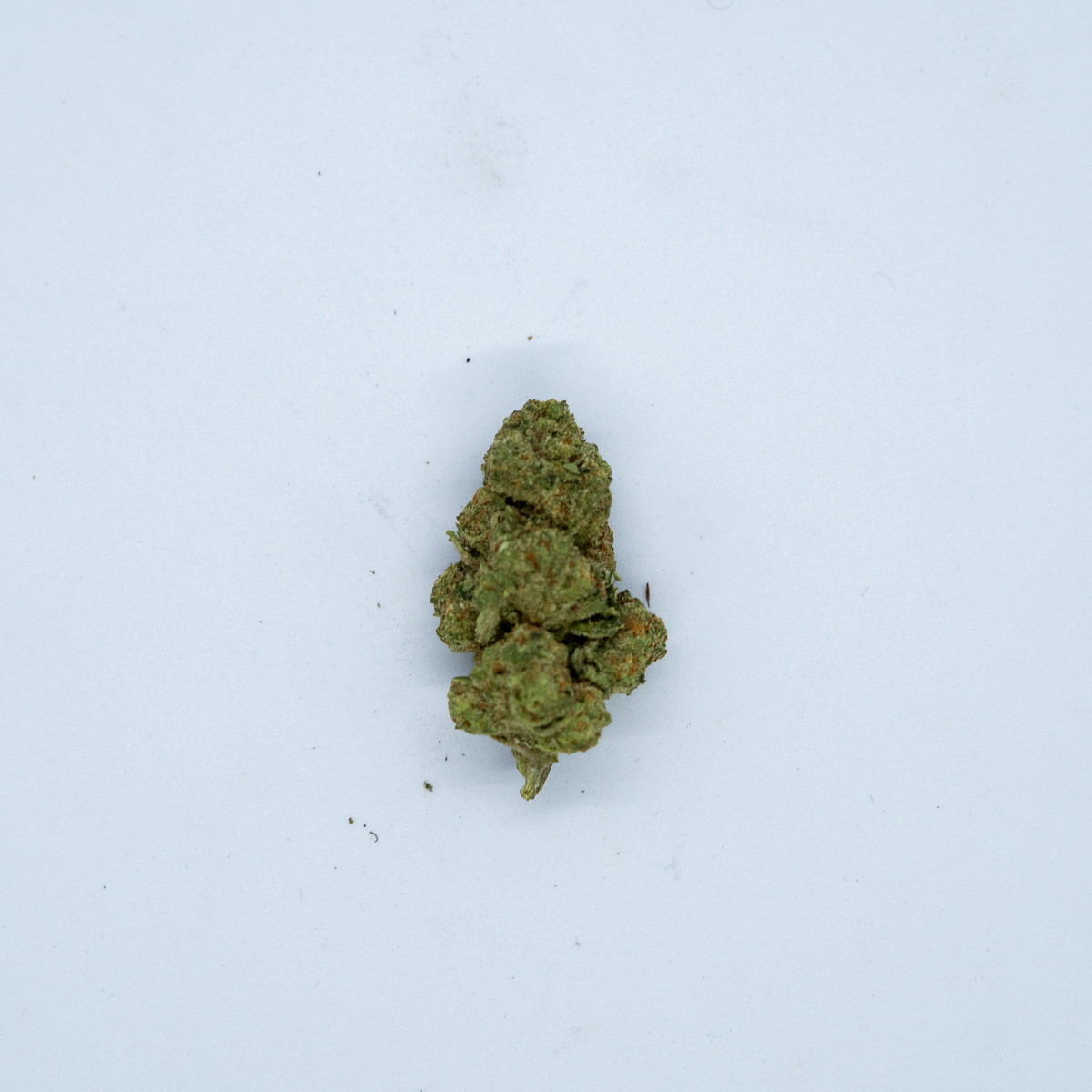 Banana Cake ( 5 Grams )